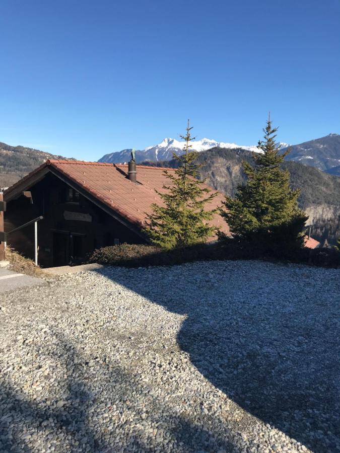 Chalet Siesta Ayent エクステリア 写真