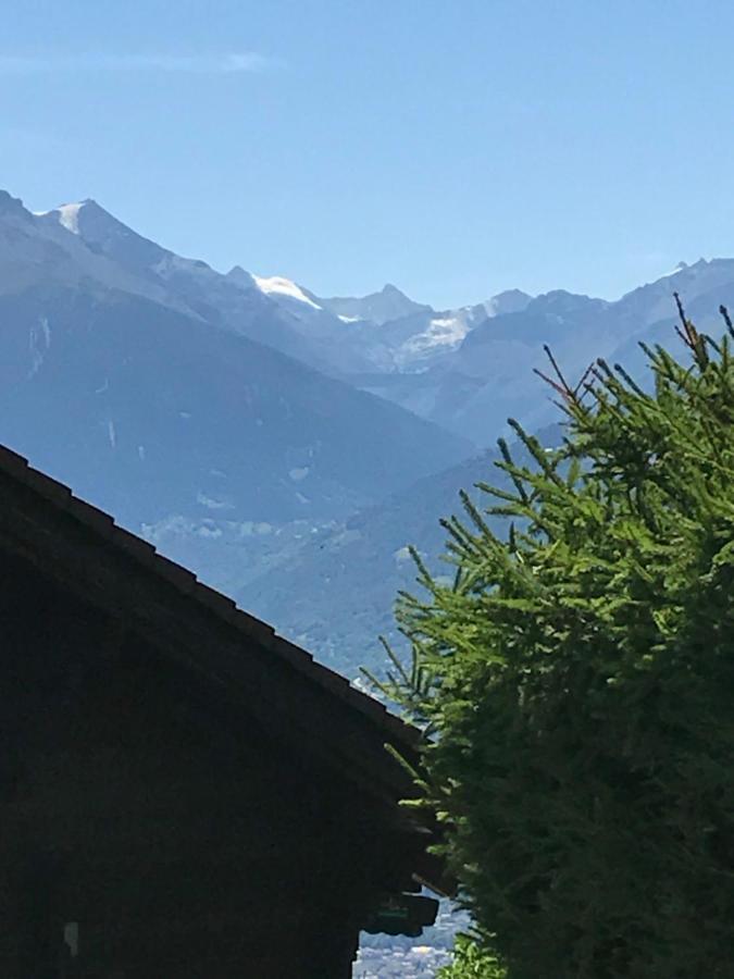 Chalet Siesta Ayent エクステリア 写真
