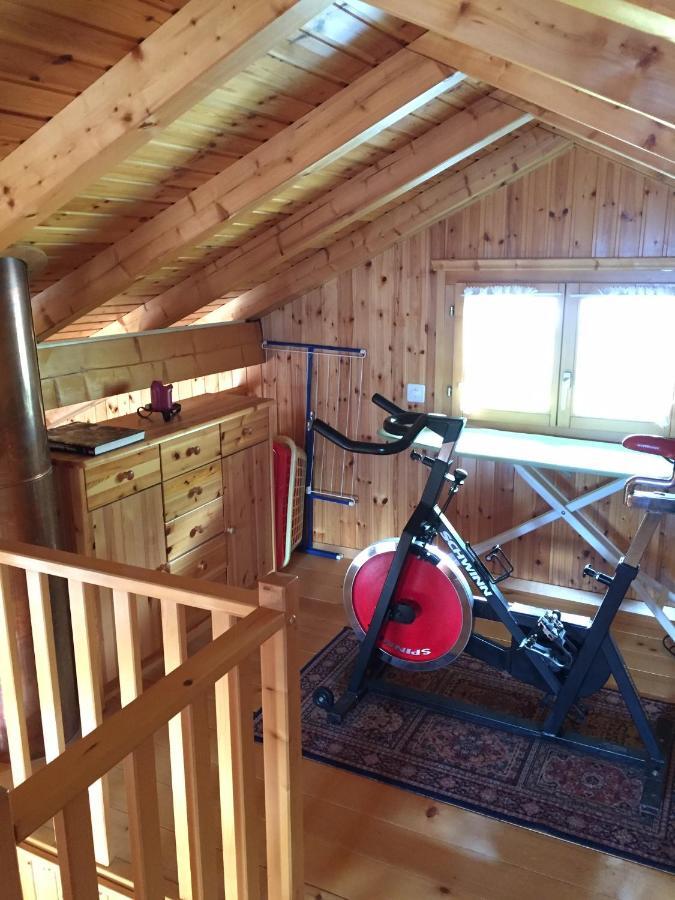 Chalet Siesta Ayent エクステリア 写真